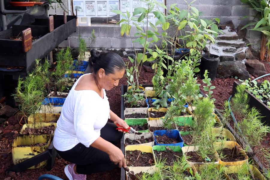 Mirian Silva of Tierra Madre