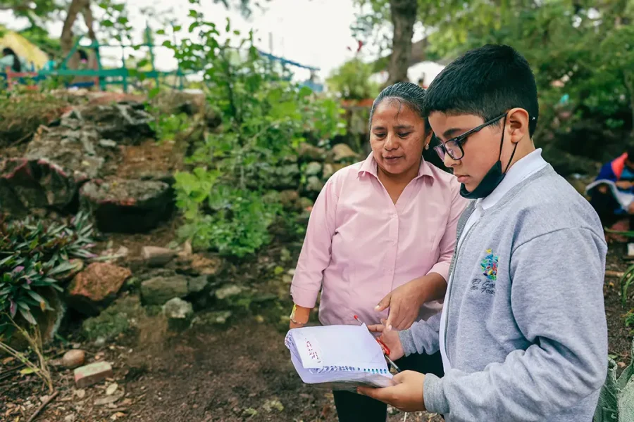 Educating Students for Sustainability